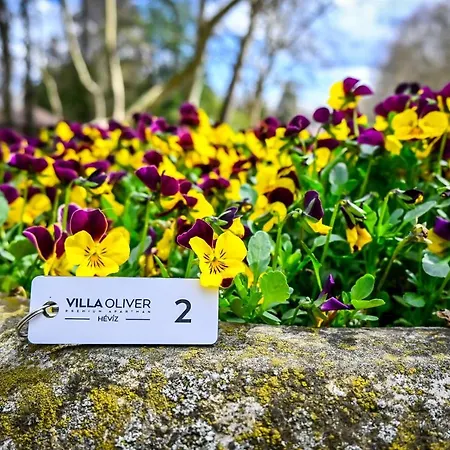 Апартаменты Oliver 1 *