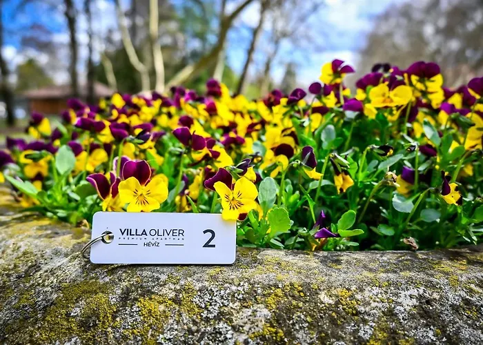 Apartment Oliver 1 *